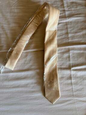Vesuvio Napoli Solid Beige Necktie Brand New